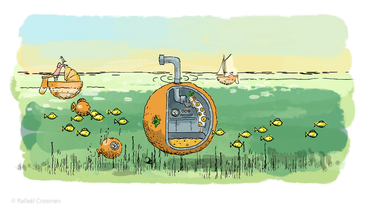 2020 Sinaasappelbootjes